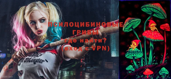 МДПВ Балахна